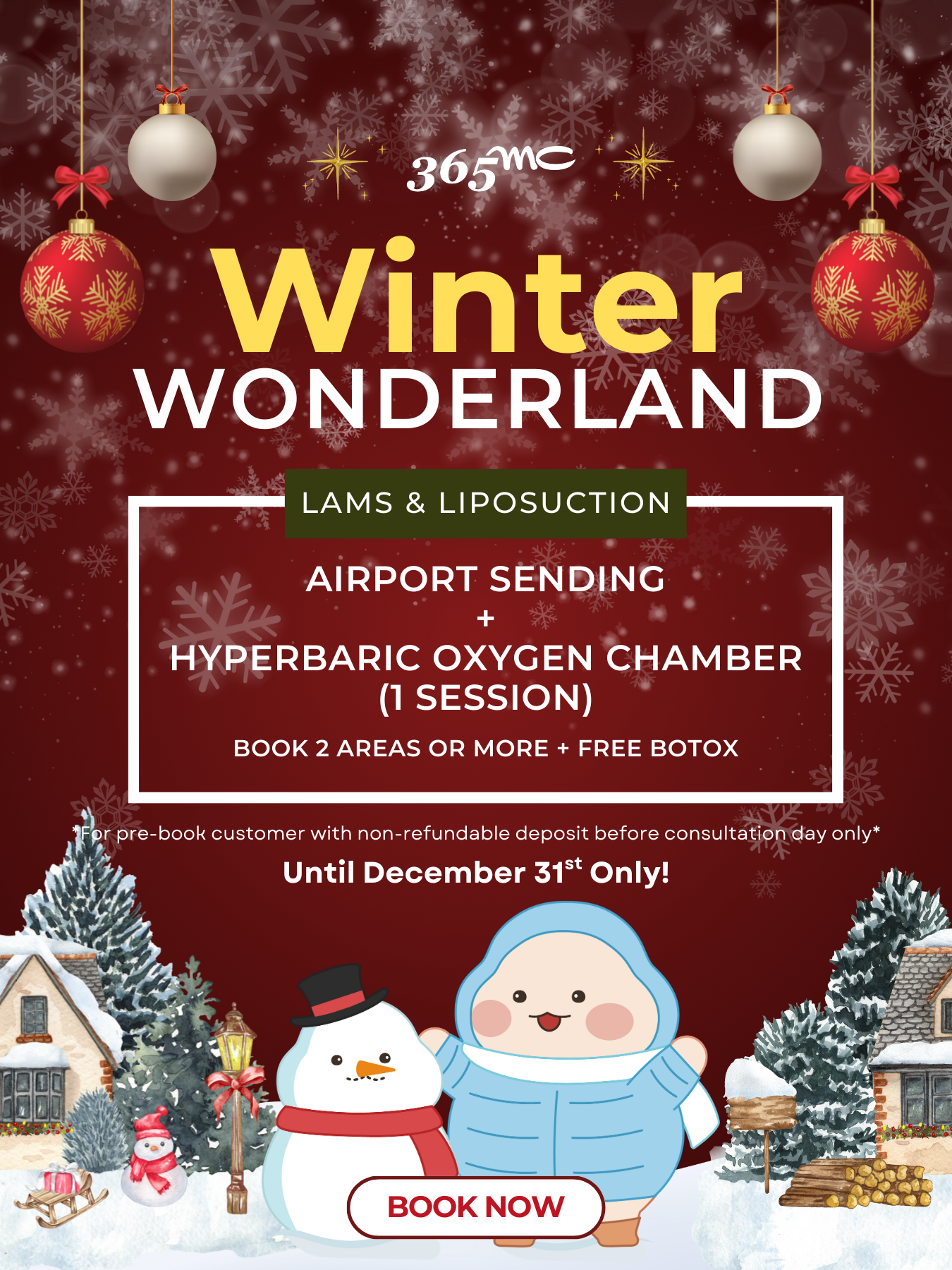 🧣WINTER WONDERLAND 🎄🎅