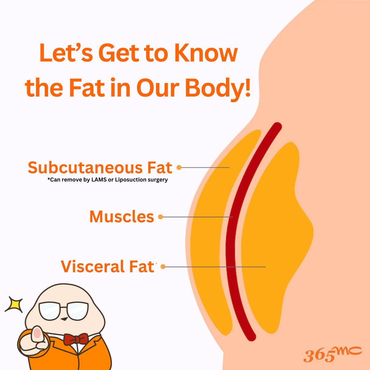 How to Maximize Your LAMS/ Liposuction Result!~ How to Maximize Your LAMS/ Liposuction Result!~ - 365mc medical expertise and patient care