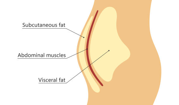 [IMAGE 2 FAT]